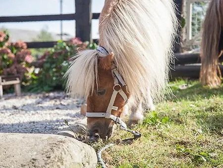 La Vieille Abbaye 3*