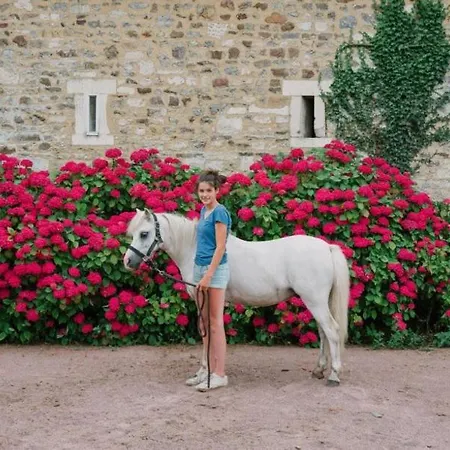 La Vieille Abbaye 3*