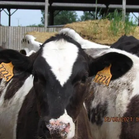 La Vieille Abbaye 3* Barbery (Calvados)