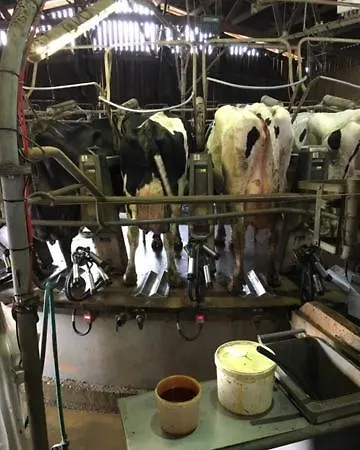 Frühstückspension La Vieille Abbaye