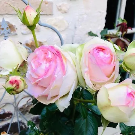 La Vieille Abbaye Barbery (Calvados)