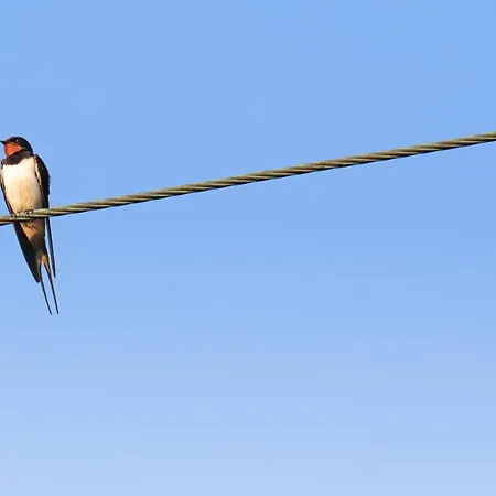 La Vieille Abbaye Frühstückspension Barbery (Calvados)