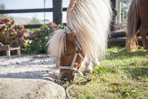 La Vieille Abbaye 3*