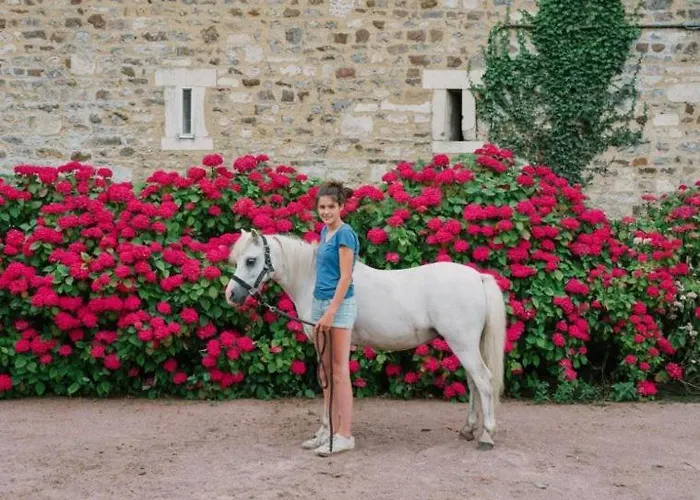 La Vieille Abbaye 3*