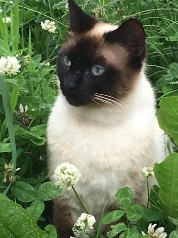 La Vieille Abbaye Couette-café