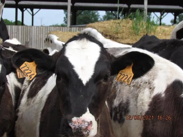 La Vieille Abbaye 3* Barbery (Calvados)