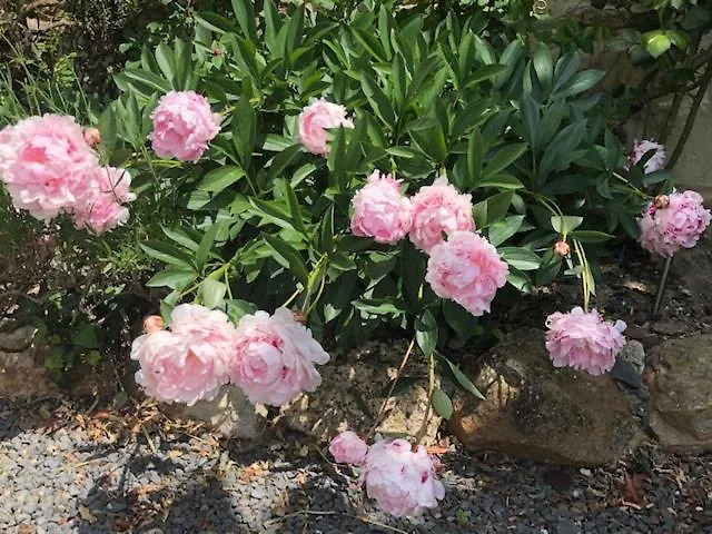 La Vieille Abbaye Panzió Barbery