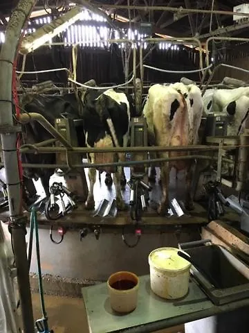 Couette-café La Vieille Abbaye