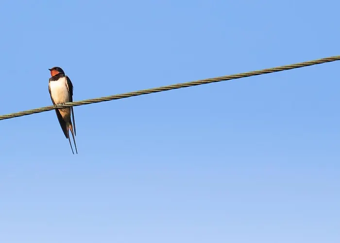La Vieille Abbaye Couette-café Barbery (Calvados)